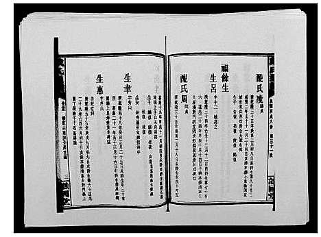 [下载][戴氏通谱世系_世系12卷_世编78卷首4卷]湖南.戴氏通谱_四十一.pdf