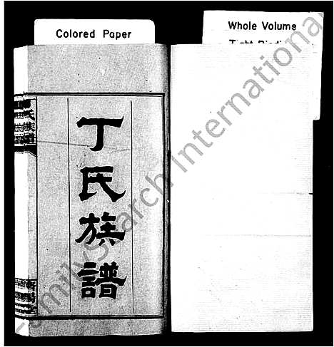 [下载][丁氏族谱_14卷首2卷]湖南.丁氏家谱_一.pdf