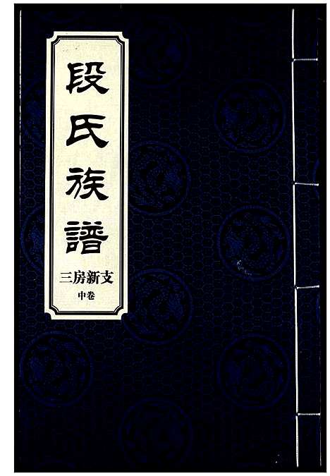 [下载][段氏族谱]湖南.段氏家谱_十一.pdf