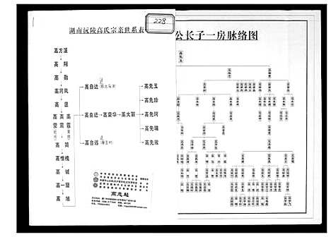 [下载][湖南沅陵高氏宗亲世系表]湖南.湖南沅陵高氏家亲世系表.pdf