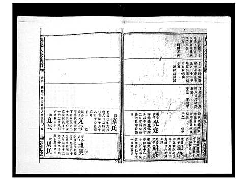 [下载][胡氏八修族谱_50卷]湖南.胡氏八修家谱_九.pdf