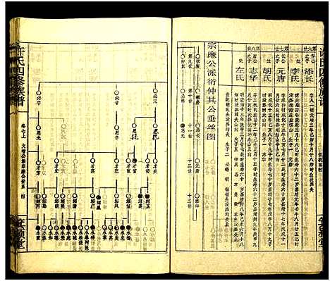 [下载][许氏四修族谱]湖南.许氏四修家谱_十二.pdf