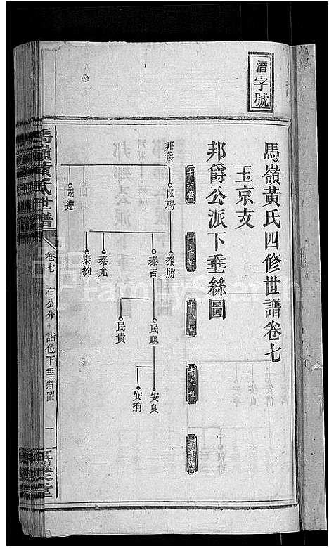 [下载][马岭黄氏四修世谱_14卷首末各1卷_马岭黄氏世谱]湖南.马岭黄氏四修世谱_八.pdf