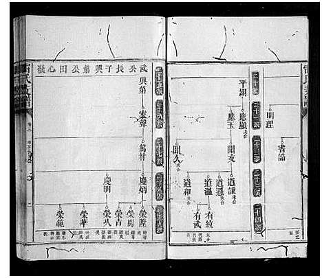 [下载][雷氏支谱_7卷首1卷]湖南.雷氏支谱_三.pdf