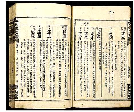 [下载][天岳李氏谱]湖南.天岳李氏谱_二十.pdf