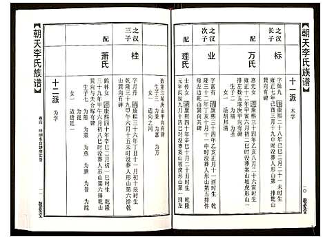 [下载][朝天李氏族谱]湖南.朝天李氏家谱_九.pdf