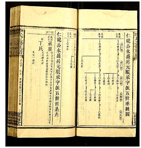 [下载][李氏三修族谱]湖南.李氏三修家谱_十四.pdf