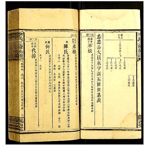 [下载][李氏三修族谱]湖南.李氏三修家谱_二十三.pdf