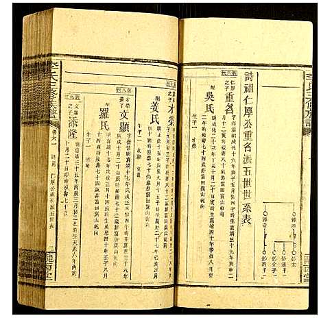 [下载][李氏三修族谱]湖南.李氏三修家谱_二十八.pdf