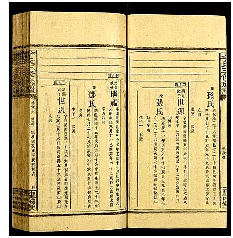 [下载][李氏三修族谱]湖南.李氏三修家谱_二十九.pdf