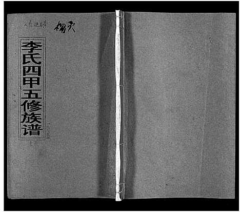 [下载][李氏四甲五修族谱_27卷首3卷]湖南.李氏四甲五修家谱_十.pdf