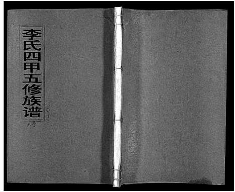 [下载][李氏四甲五修族谱_27卷首3卷]湖南.李氏四甲五修家谱_十一.pdf