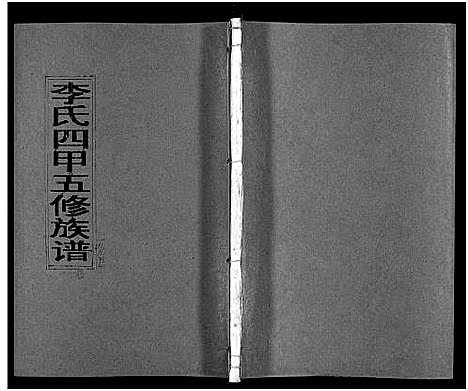 [下载][李氏四甲五修族谱_27卷首3卷]湖南.李氏四甲五修家谱_十四.pdf