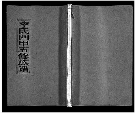 [下载][李氏四甲五修族谱_27卷首3卷]湖南.李氏四甲五修家谱_十五.pdf