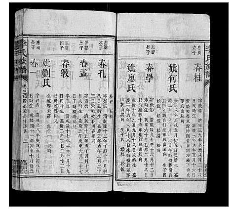 [下载][李氏族谱]湖南.李氏家谱_九.pdf