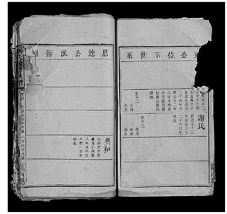 [下载][李氏续修族谱]湖南.李氏续修家谱_八.pdf