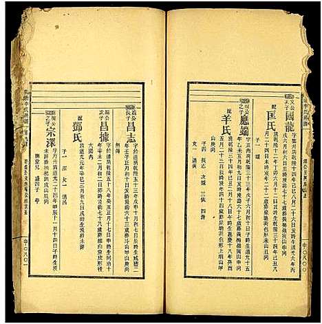 [下载][泉塘李氏五修房谱_16册_邵东泉塘李氏五修房谱_泉塘李氏房谱]湖南.泉塘李氏五修房谱_十三.pdf