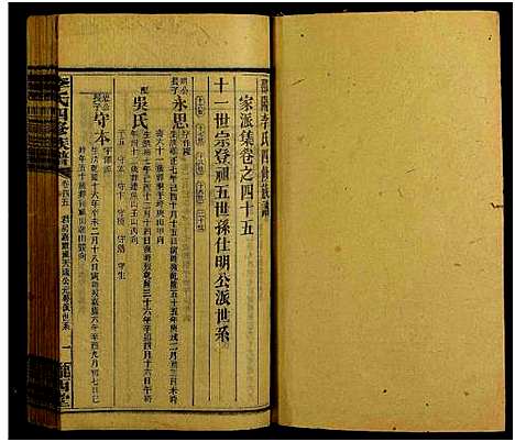 [下载][邵阳李氏四修族谱_家派集世系卷50卷_李氏四修族谱_李氏四修族谱]湖南.邵阳李氏四修家谱_四十五.pdf