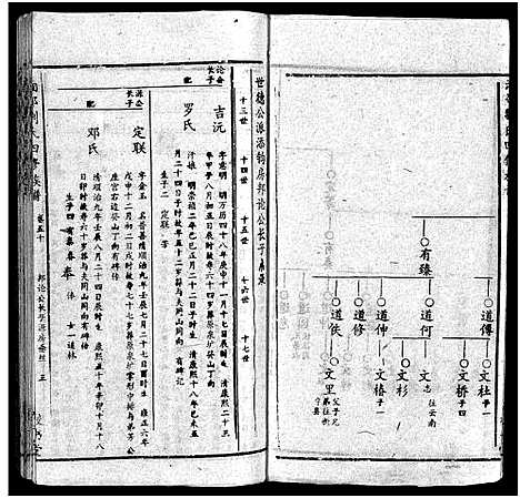 [下载][湘邵刘氏四修族谱_59卷首1卷]湖南.湘邵刘氏四修家谱_四十九.pdf