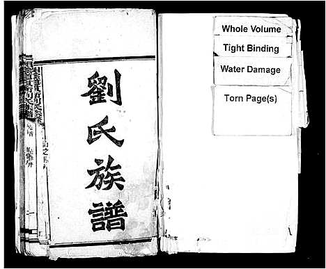 [下载][湘阴道贯冲刘氏族谱_94卷首1卷_刘氏族谱]湖南.湘阴道贯冲刘氏家谱.pdf