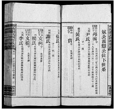 [下载][邵陵刘氏四修族谱_20卷首2卷_末1卷_刘氏族谱_邵陵刘氏四修族谱]湖南.邵陵刘氏四修家谱_十一.pdf