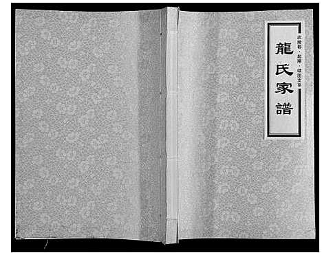 [下载][龙氏家谱_上下卷]湖南.龙氏家谱.pdf