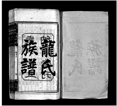 [下载][龙纳言堂族谱_22卷首2卷_龙氏族谱_龙氏四修族谱_龙纳言堂族谱]湖南.龙纳言堂家谱_一.pdf