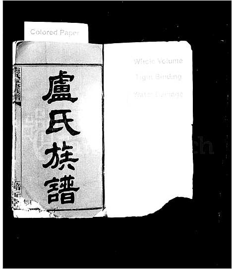 [下载][卢氏族谱_14卷_卢氏五修族谱]湖南.卢氏家谱.pdf