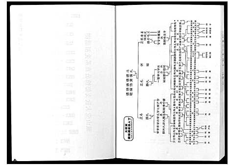 [下载][湖湘鼓磉罗氏族谱_3卷]湖南.湖湘鼓磉罗氏家谱_三.pdf