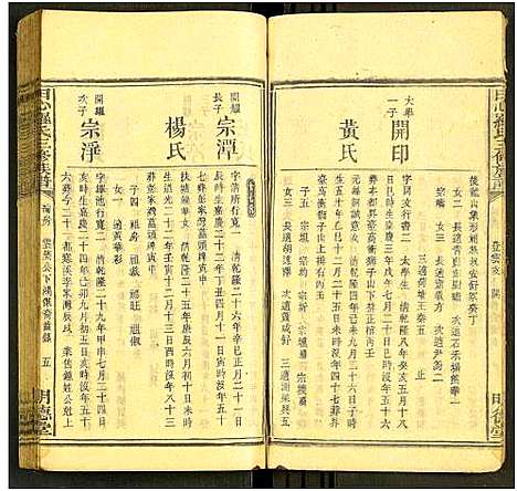 [下载][田心罗氏三修族谱_残卷]湖南.田心罗氏三修家谱_五.pdf