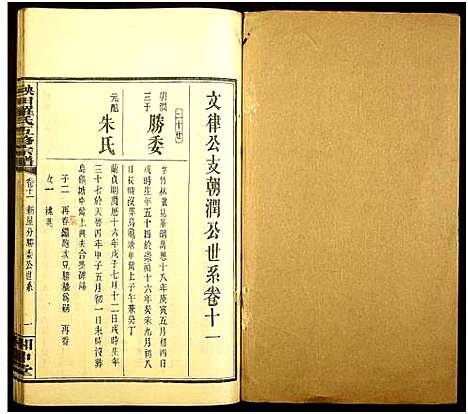 [下载][秧田罗氏五修宗谱_27卷_秧田罗氏五修宗谱]湖南.秧田罗氏五修家谱_九.pdf