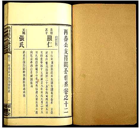 [下载][秧田罗氏五修宗谱_27卷_秧田罗氏五修宗谱]湖南.秧田罗氏五修家谱_十.pdf