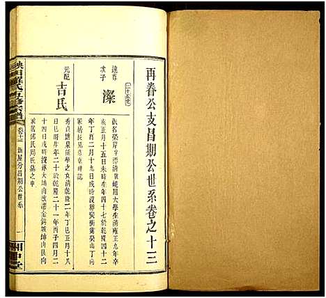 [下载][秧田罗氏五修宗谱_27卷_秧田罗氏五修宗谱]湖南.秧田罗氏五修家谱_十一.pdf