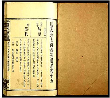 [下载][秧田罗氏五修宗谱_27卷_秧田罗氏五修宗谱]湖南.秧田罗氏五修家谱_十三.pdf