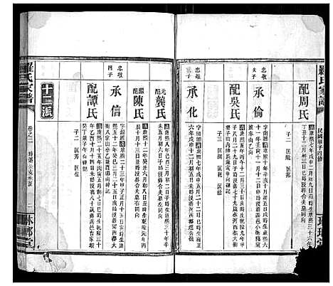 [下载][罗氏家谱_12卷首2卷]湖南.罗氏家谱_三.pdf