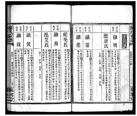 [下载][罗氏家谱_12卷首2卷]湖南.罗氏家谱_三.pdf