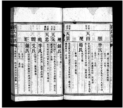 [下载][罗氏族谱_16卷_罗氏宗谱_郴阳西乡罗氏族谱_罗氏族谱]湖南.罗氏家谱_七.pdf