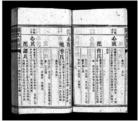 [下载][罗氏族谱_16卷_罗氏宗谱_郴阳西乡罗氏族谱_罗氏族谱]湖南.罗氏家谱_十一.pdf