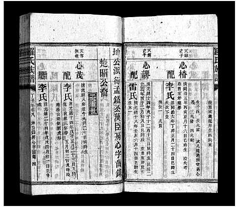 [下载][罗氏族谱_16卷_罗氏宗谱_郴阳西乡罗氏族谱_罗氏族谱]湖南.罗氏家谱_十一.pdf