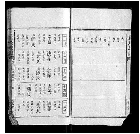 [下载][罗氏族谱_5卷]湖南.罗氏家谱_三.pdf