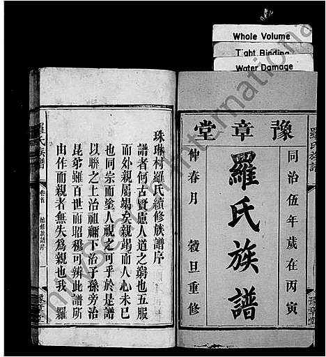 [下载][罗氏族谱_6卷_及卷首_珠琳村罗氏续修族谱]湖南.罗氏家谱.pdf