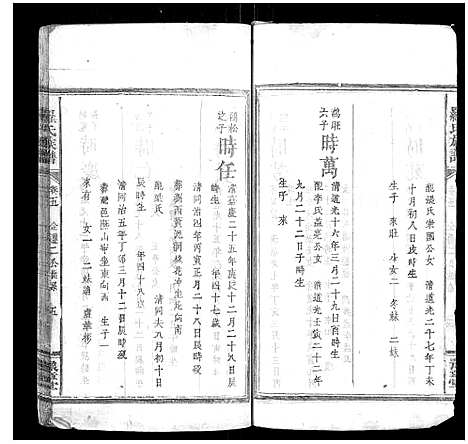 [下载][罗氏族谱_7卷首1卷]湖南.罗氏家谱_六.pdf