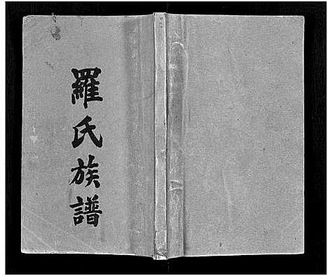 [下载][罗氏族谱_22卷首2卷_罗氏族谱]湖南.罗氏家谱_四.pdf