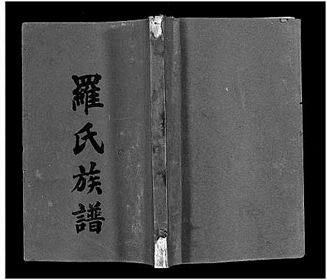 [下载][罗氏族谱_22卷首2卷_罗氏族谱]湖南.罗氏家谱_五.pdf