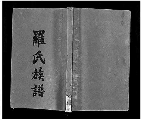 [下载][罗氏族谱_22卷首2卷_罗氏族谱]湖南.罗氏家谱_八.pdf