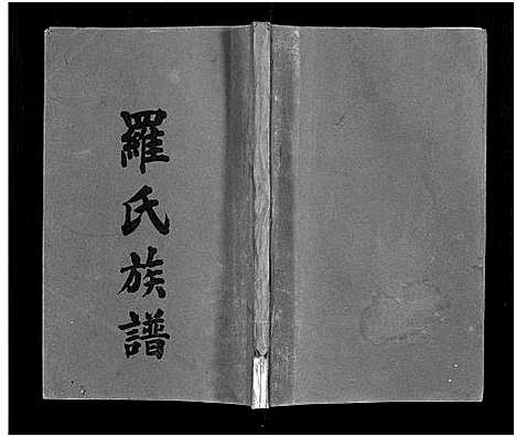 [下载][罗氏族谱_22卷首2卷_罗氏族谱]湖南.罗氏家谱_九.pdf