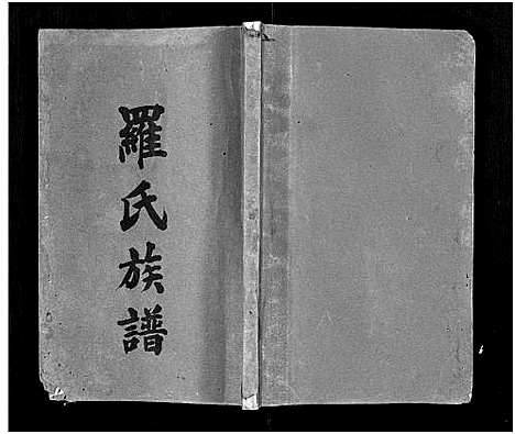 [下载][罗氏族谱_22卷首2卷_罗氏族谱]湖南.罗氏家谱_十二.pdf