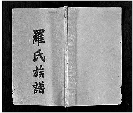 [下载][罗氏族谱_22卷首2卷_罗氏族谱]湖南.罗氏家谱_十三.pdf