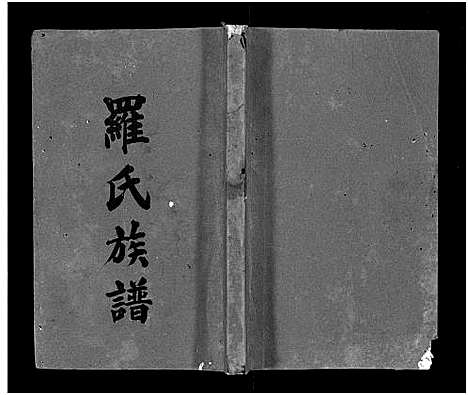 [下载][罗氏族谱_22卷首2卷_罗氏族谱]湖南.罗氏家谱_十九.pdf