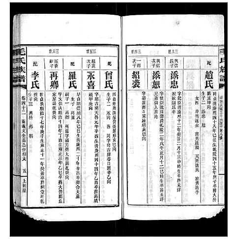 [下载][毛氏族谱]湖南.毛氏家谱_四十一.pdf